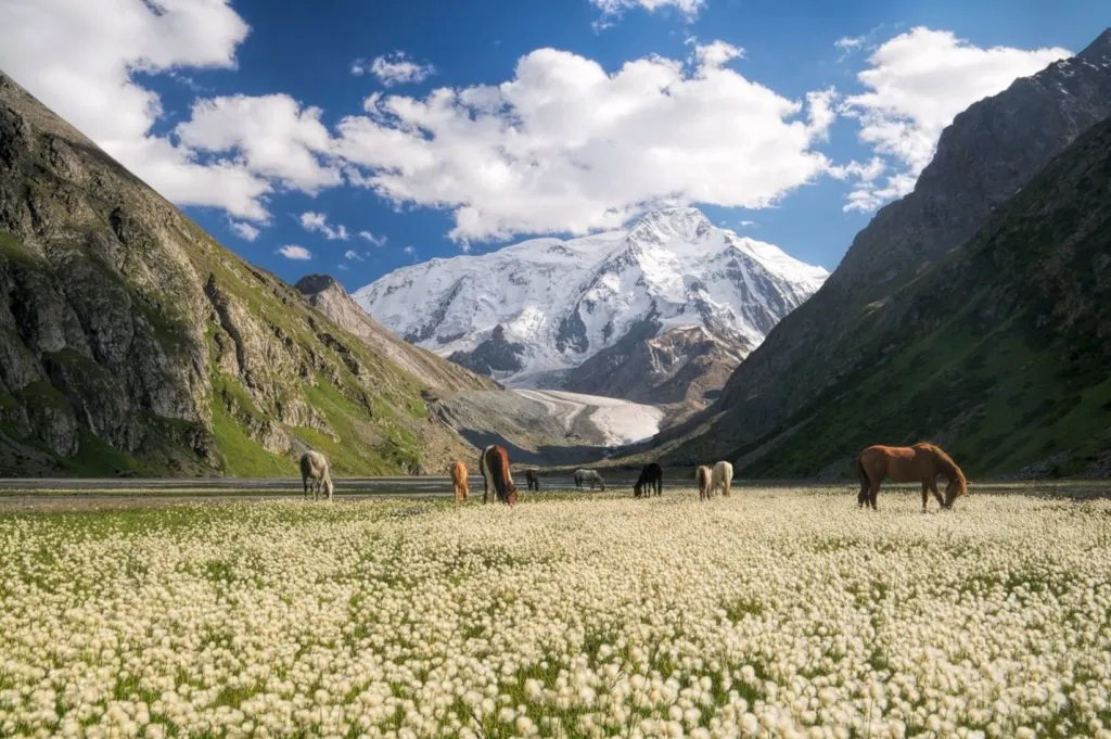 Kyrgyzstan natural beauty